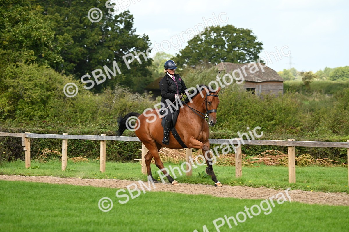 SBM_01996 - S2 - TSR Ridden Horse Showing