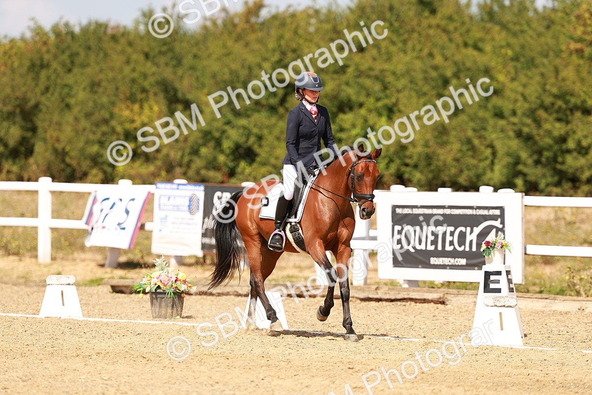 SBM_018483 - Class 9 - N5 Bronze 11.57.13.07