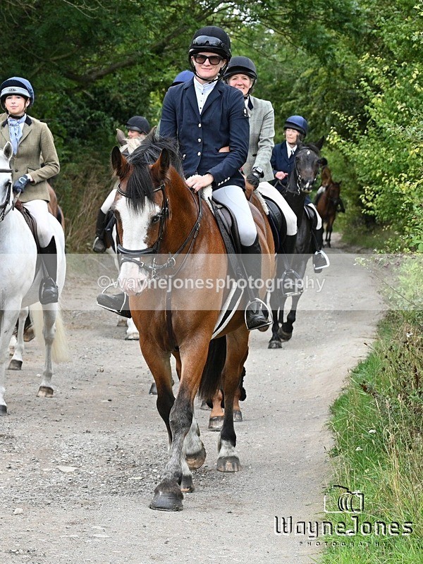 WJ7_0898 - Berks & Bucks Hound Exercise Blewbury 13-09-26