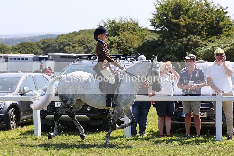 IMG_2179 - Class 36: Part Bred Ridden M & M