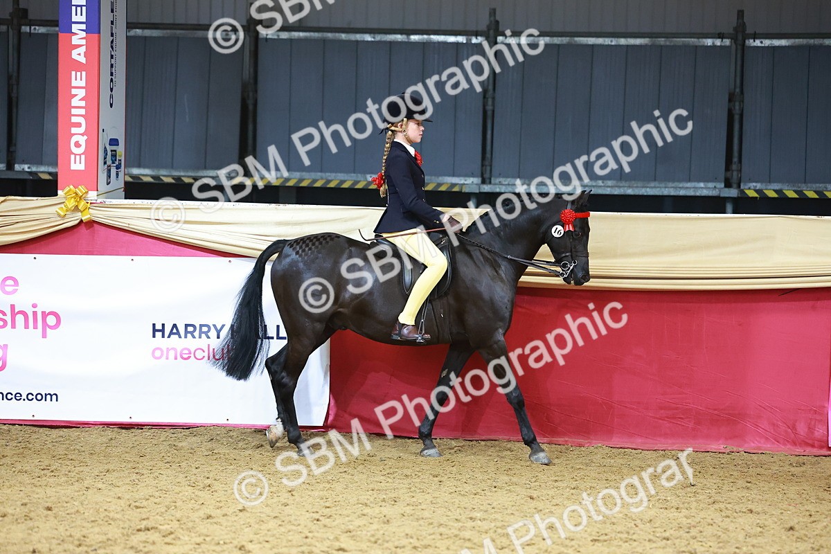 SBM_12382 - Class 103 - HOYS Veteran Qualifier - Ridden Pre Vet