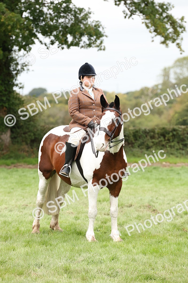 SBM_67296 - S67 - Piebald & Skewbald Horse Ridden