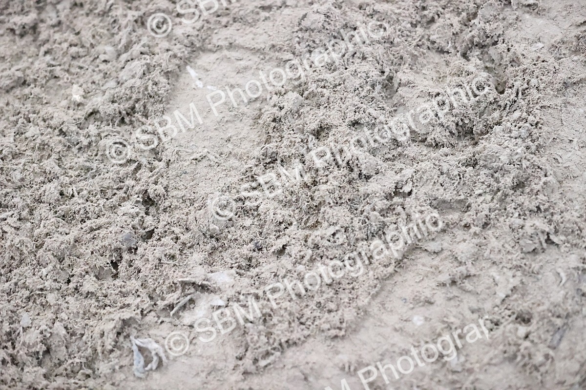 SBM_005270 - Class 18 - National 1.30m 1..40m