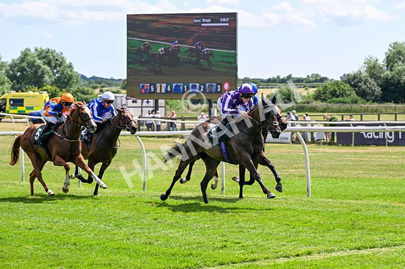 080726-Race 2-Penny Capri-6854 - Race 2 14.30pm Download The Raceday Ready App Nursery Handicap