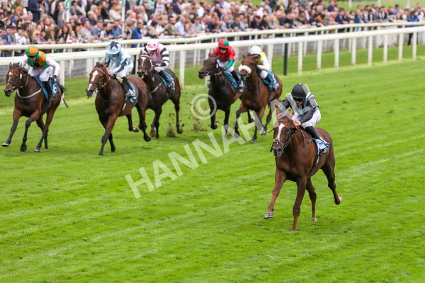 230923-Race 2-Palamon-5239 - Race 2 2.35pm jigsawsportsbranding.co.uk Handicap