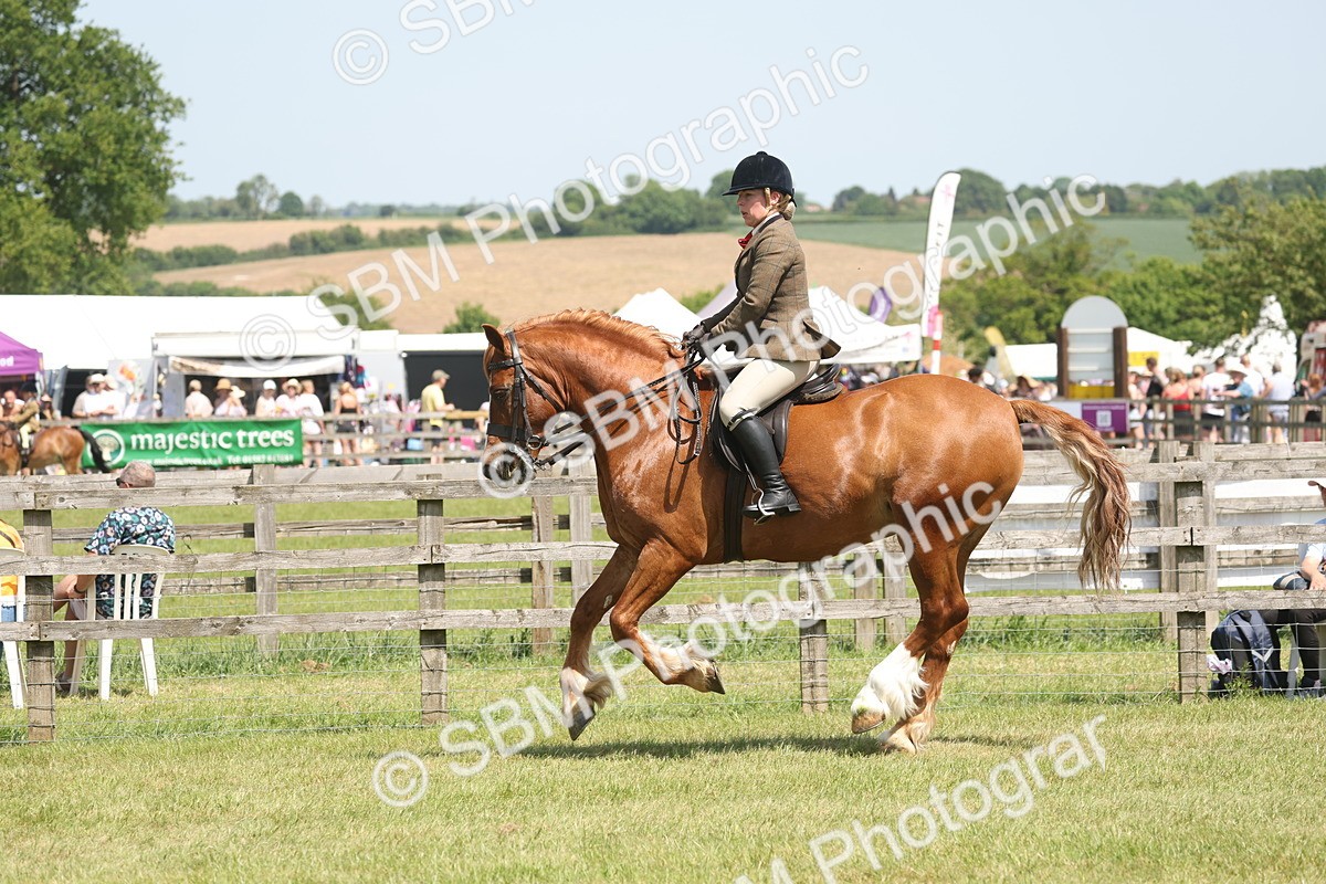 SBM_06950 - Class 26-30 - Mountain and Moorland Ridden