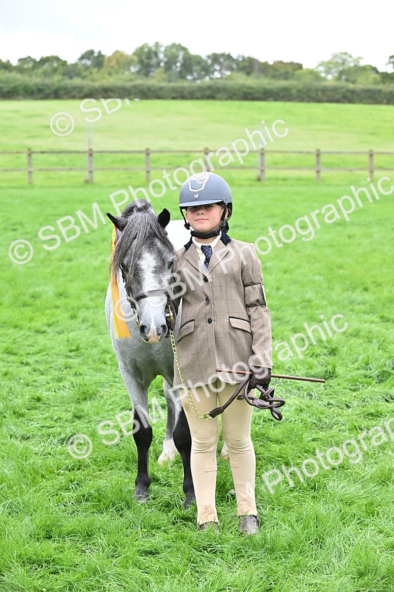 SBM_61061 - S48 - Mountain & Moorland In Hand Small Breeds