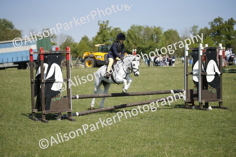 20250427-1964 - Class 13 - Novice Jumping 60cm
