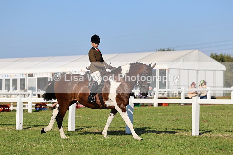 IMG_1213 - Class 27: Ridden Plaited Coloured Horse