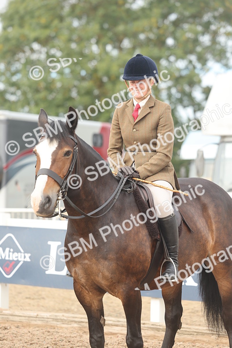 SBM_01938 - Class 14 - Ridden M&M Wildcard