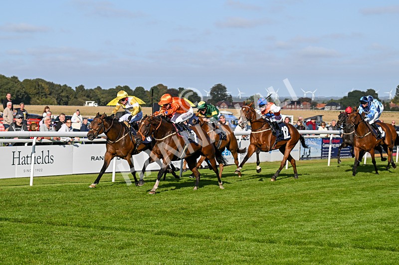 180924-Race 6-Elegant Erin-5039 - Race 6