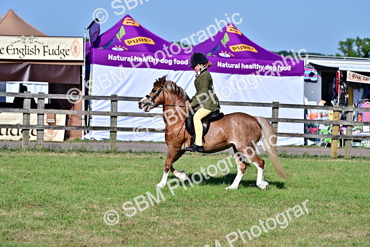 SBM_19855 - Class 103 - 105 - TSR Ridden Amateur of the Year Plaited Ponies