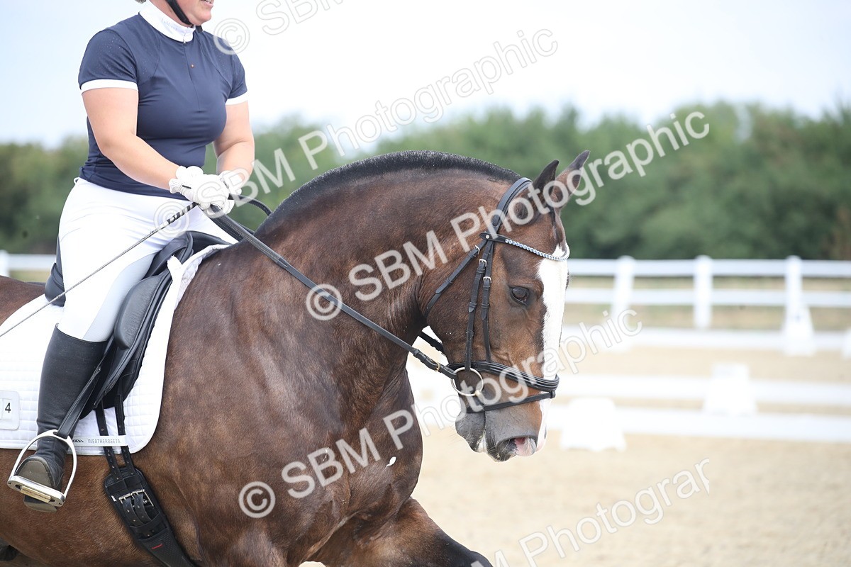 SBM_006658 - Novice 5 - 10.56-13.12