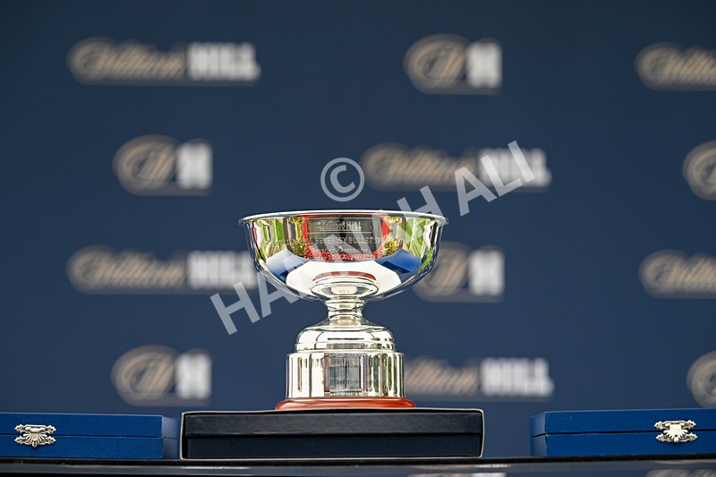 300825-Race 2-Shagraan-0420 - Race 2