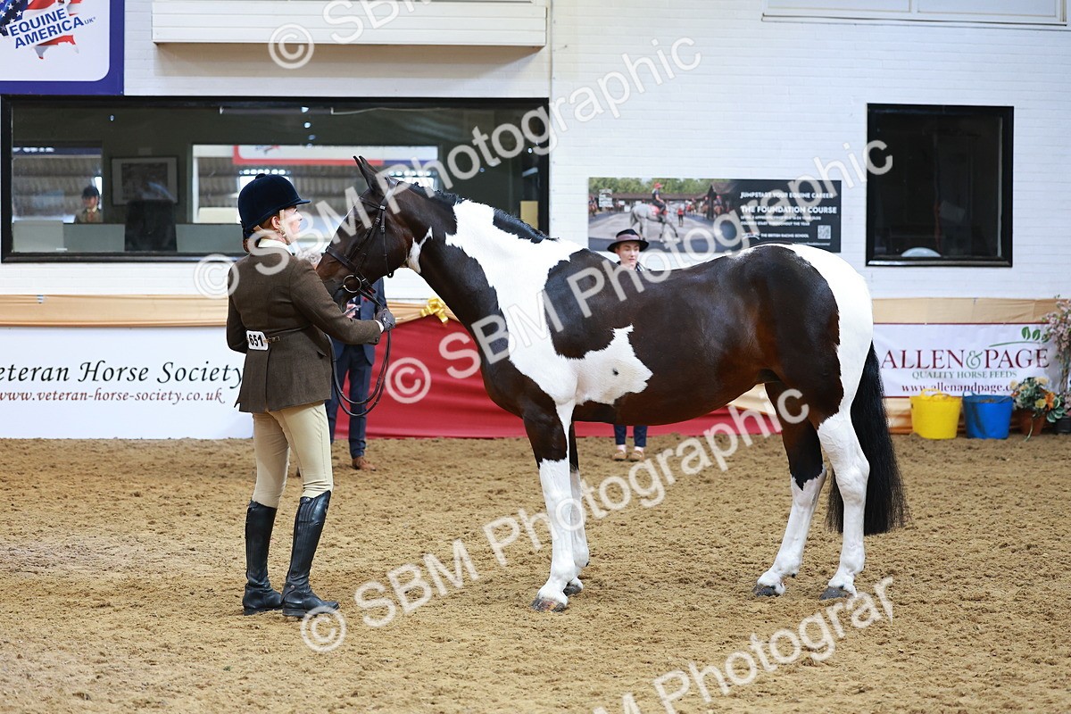 SBM_09806 - Class 102 - HOYS Veteran Qualifier - Ridden Veteran