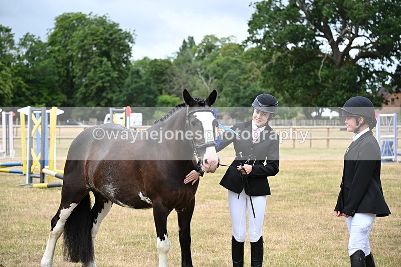 WJ6_4469 - Class 10 Coloured In-hand