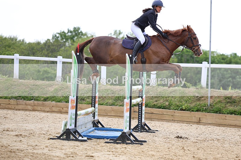 3E7A7486 - Class 8: Senior Foxhunter/1.20 open