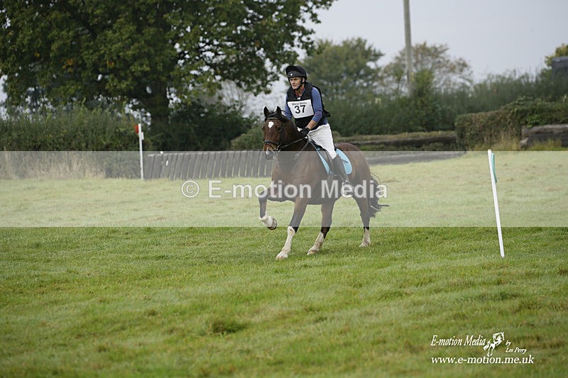 WWHT 171021 0248 - Novice Restricted (0.80m)  17/10/21
