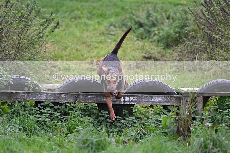 WJ7_8947 - Camera 1 only on this line