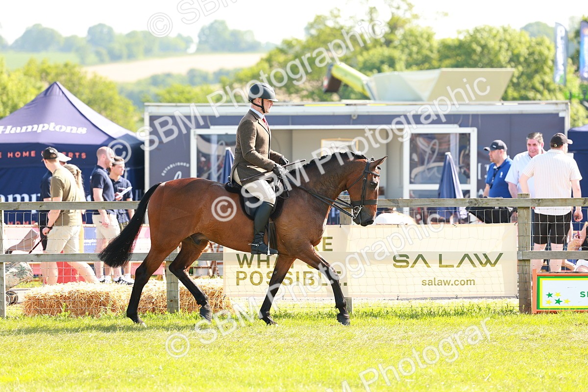 SBM_12019 - Class 66-69 - RIHS Ridden Hunters Inc Small Hunter