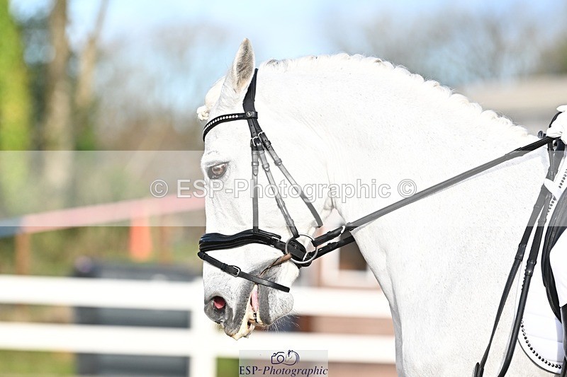 241214-130537-01835 - 111-Anya.Hitt-Cnoc.an.Noinin.Clover