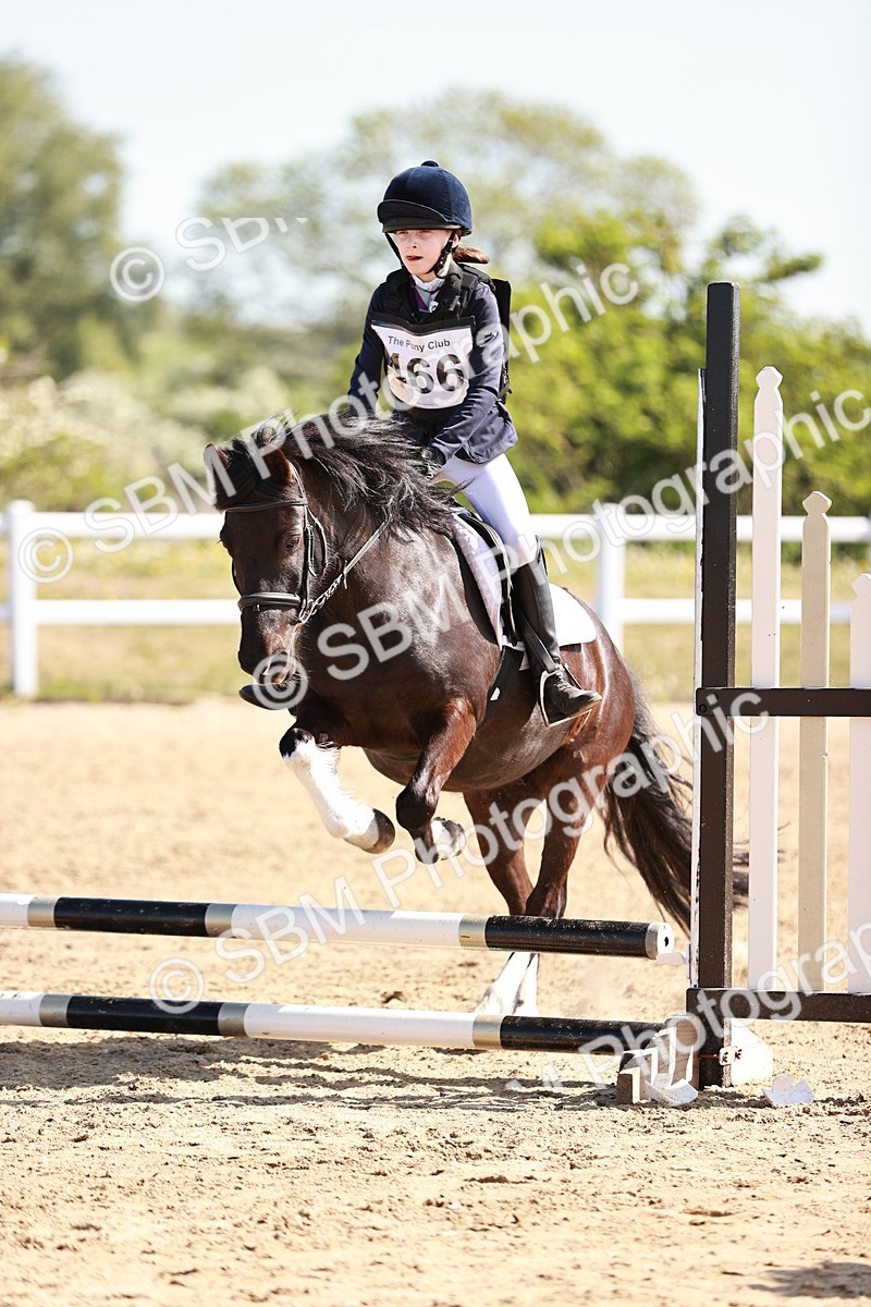 SBM_006788 - Class 2 - 50cm