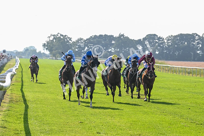 300824-Race 6-Havana Sky-6360 - Race 6