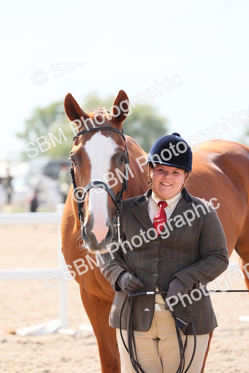 SBM_15787 - Class 312 IH Competition Horse/Pony