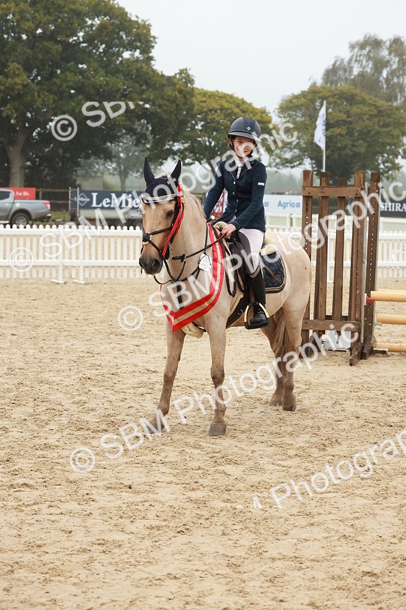 SBM_73493 - Supreme Championship Junior Pony 60cm & 65cm