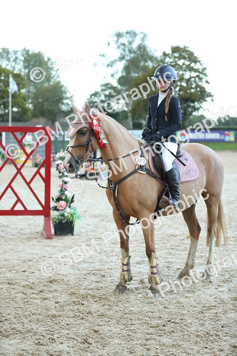 SBM_53786 - Supreme Championship 65cm 70cm