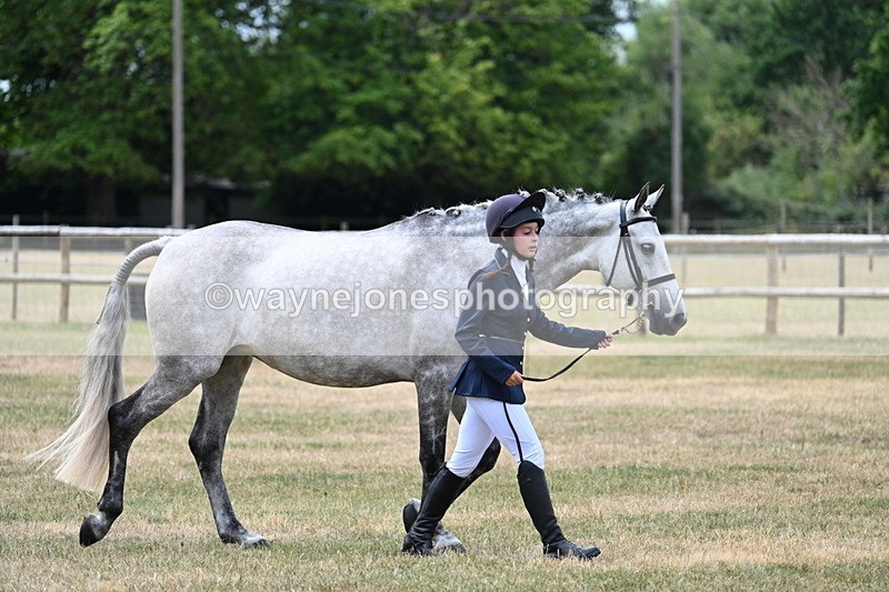 WJ7_1874 - Class 4a Prettiest Mare 14.2hh and over hand
