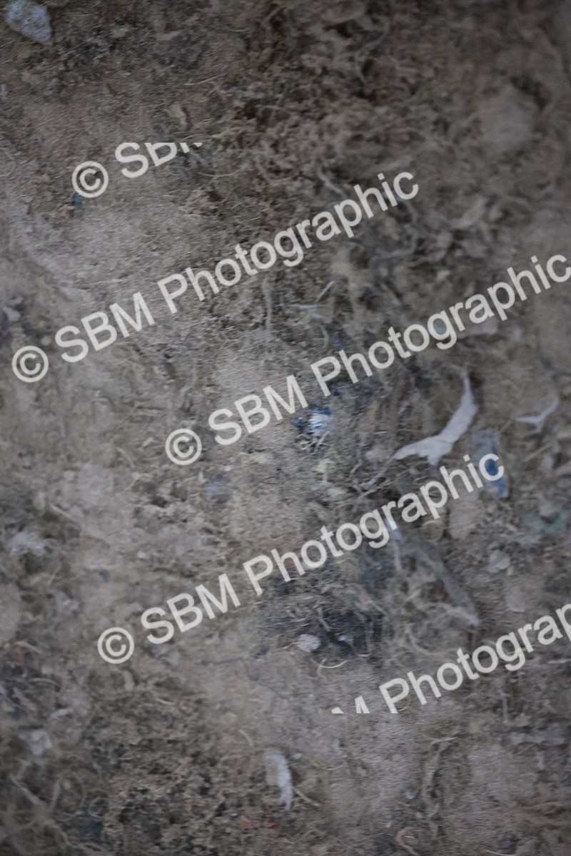 SBM_006192 - Evening Performance