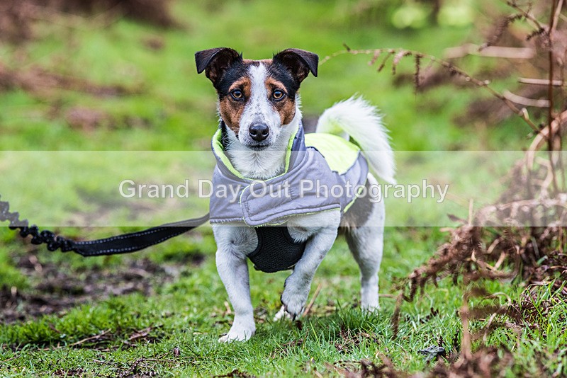 Wasdale Show-5 - Wasdale Head Show Fell Races (Junior & Senior) Saturday 14th October 2023
