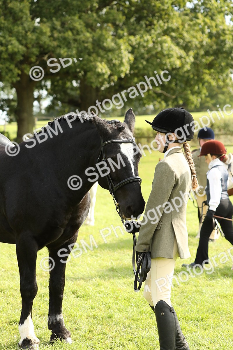 SBM_68663 - S40 - Junior Handler 9-12 Years