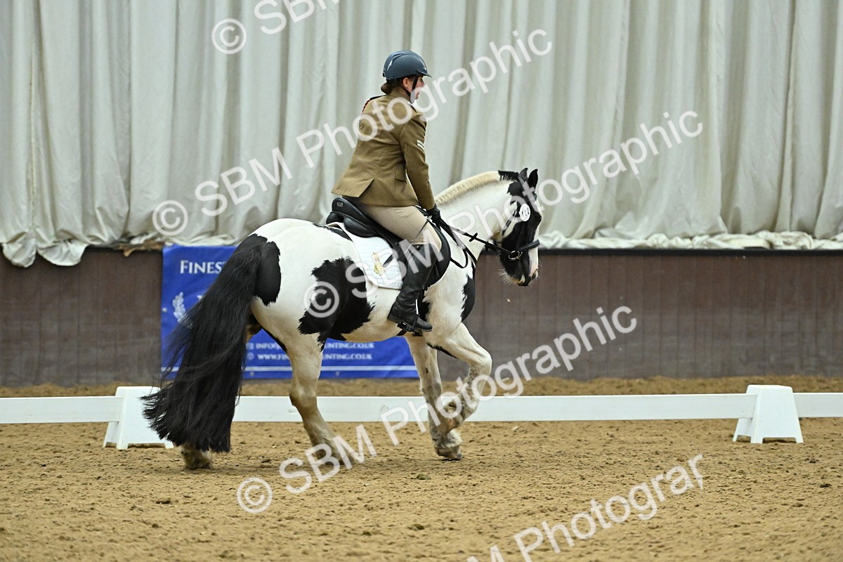 SBM_007386 - Class 81 - Novice 3