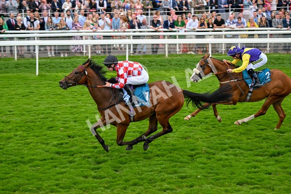 270724-Race 6-Ziggy-7541 - Race 6 5.10pm Sky Bet, For The Fans Handicap