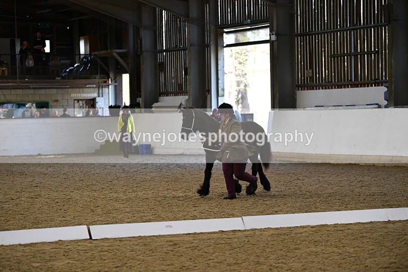 WJ5_3798 - Class 5 In Hand Veterans