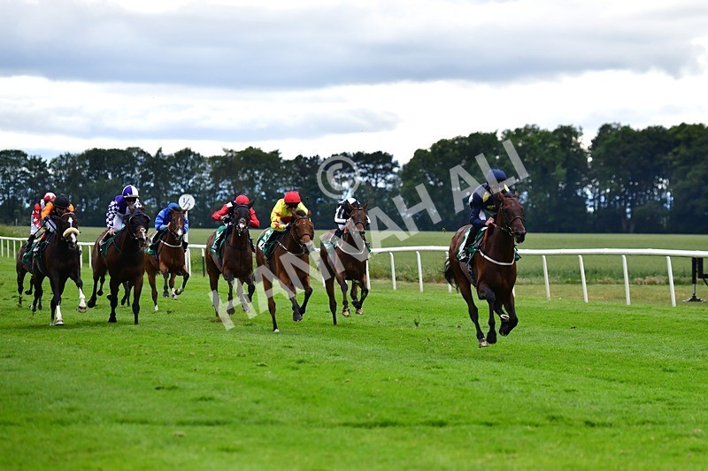 170625-Race 5-Blue RC-4011 - Race 5