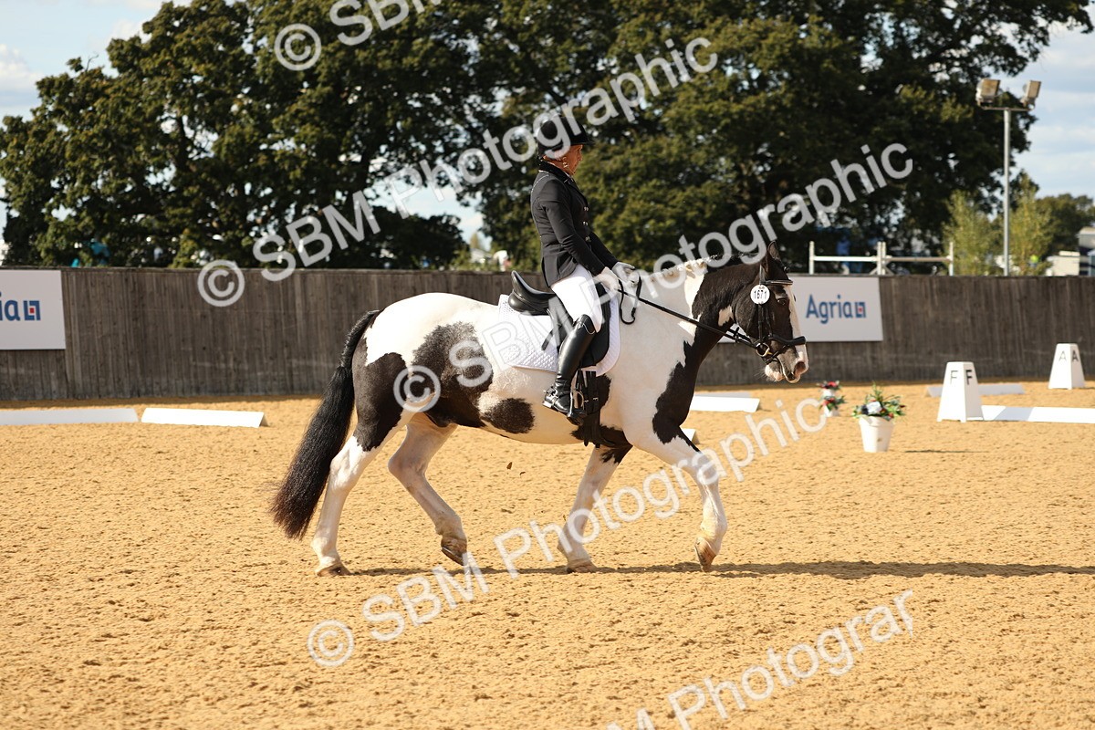 SBM_26712 - D17 - Grand Tour Championship - Novice 27