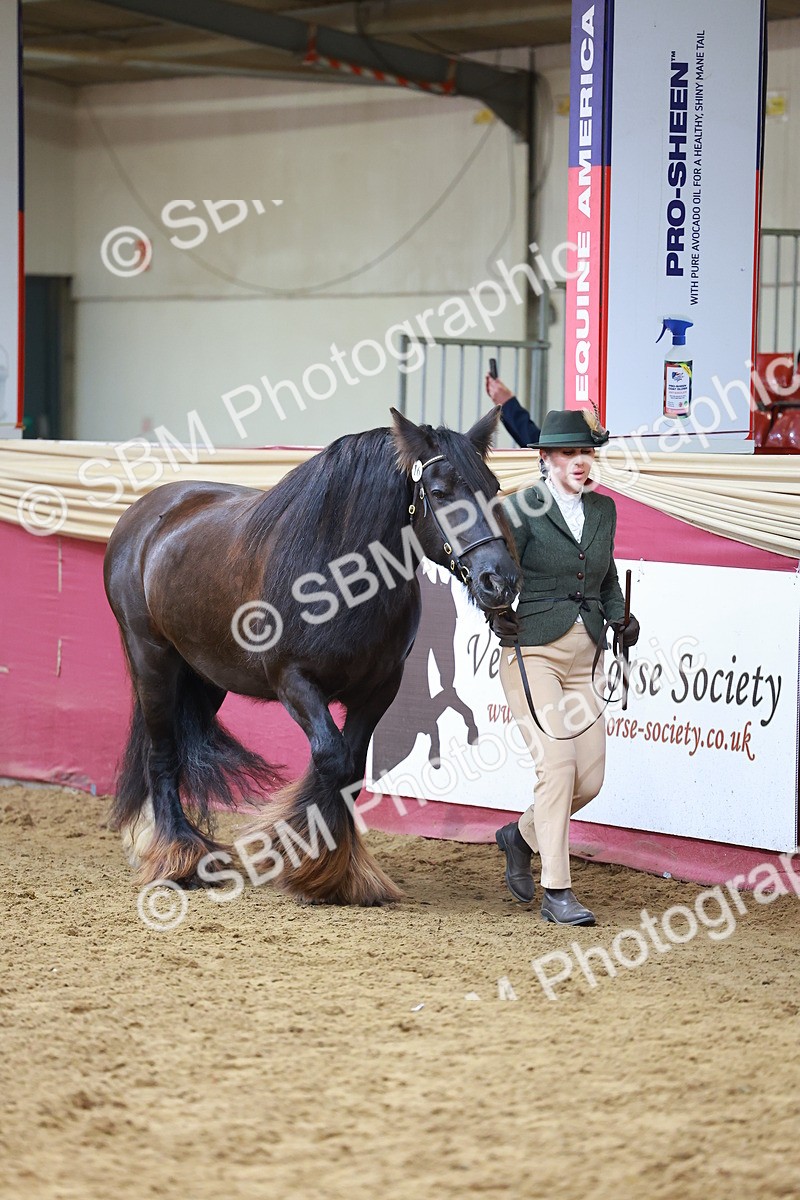 SBM_18529 - Class 903 - Sup Final - IH Pre Vet