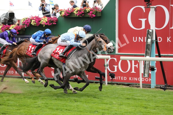 yr18082022r2-40 - Race 2 2.25pm Goffs UK Harry Beeby Premier Yearling Stakes