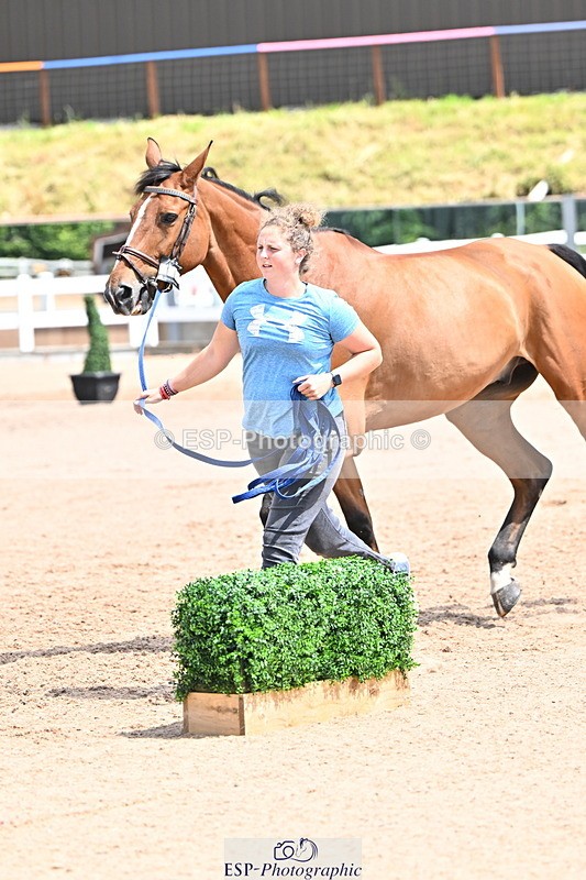 240718A-105310-01641 - Trot Up 1pm to 2pm