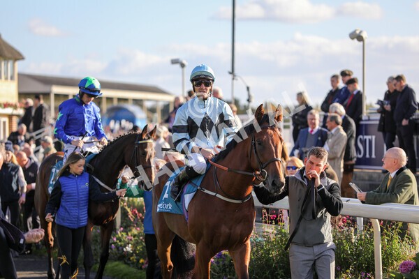 yr08102022r5-13 - Race 5 3.50pm The Coral Committed To Safer Gambling EBFStallions.com Maiden Stakes