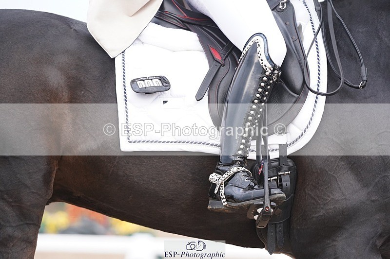 250404-083500-03790 - 069-India.Hamilton-Burnet-Kissingdale