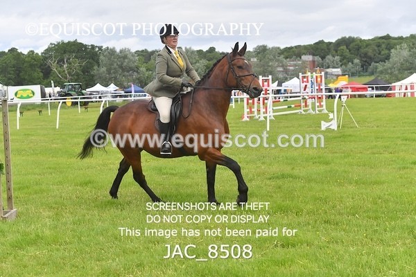 JAC_8508 - CLASS 3 BHS STYLE JUMPING
