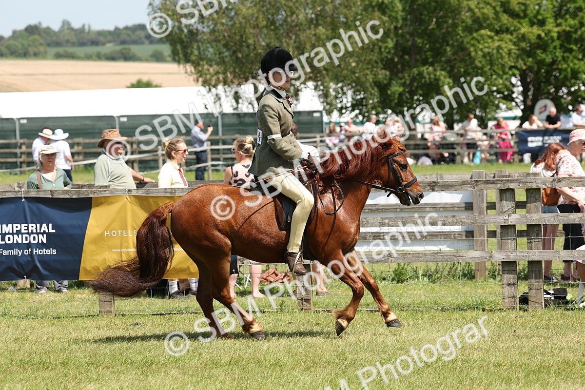 SBM_06832 - Class 26-30 - Mountain and Moorland Ridden