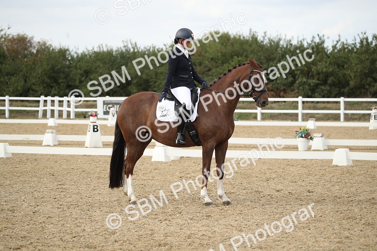 SBM_003515 - Class 6 - Elementary 5 - 16.10-16.43