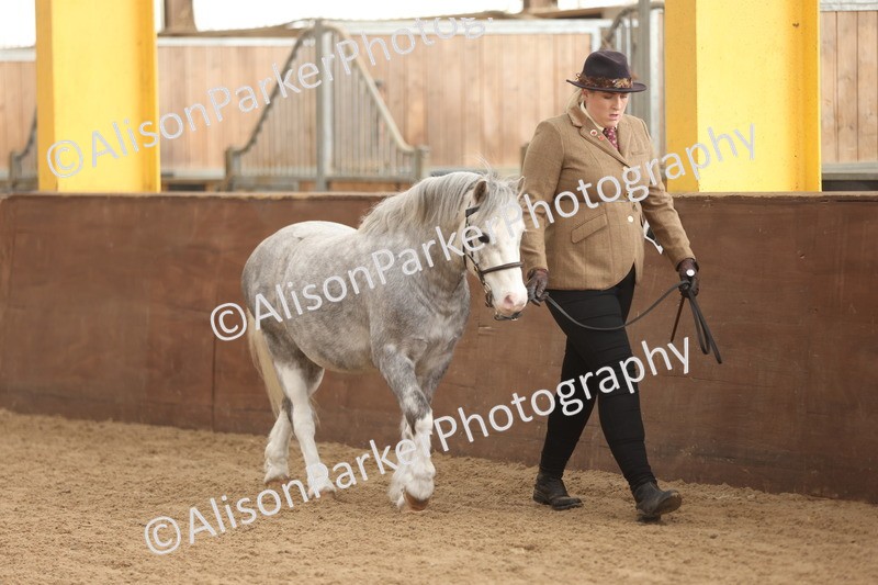 20251109-0584 - Class 22 - Geldings 4 Years and over