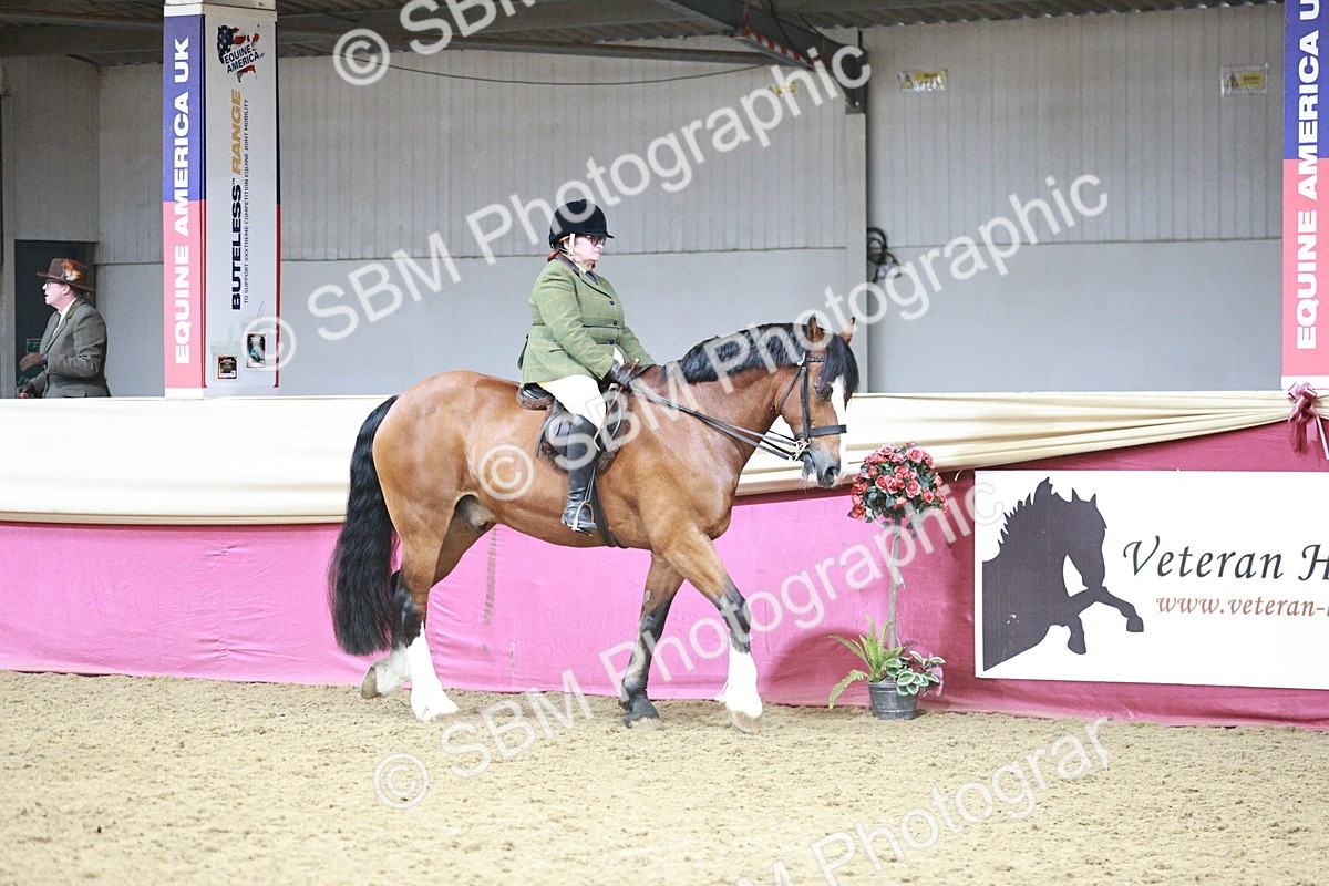 SBM_08729 - Class 12R - Regional Ridden Pre-Vet