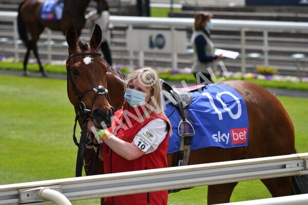 yr12052021r1-9 - Race 1 1.40pm Sky Bet Race to the Ebor Jorvik Stakes